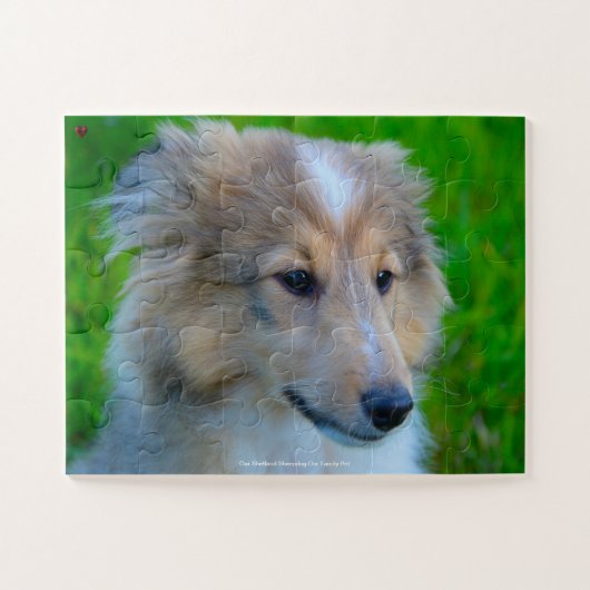 Onze Shetland Sheepdog Ons gezinsleven Legpuzzel (Horizontaal)