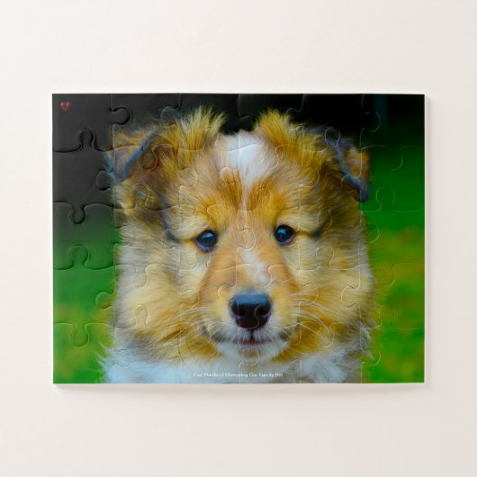 Onze Shetland Sheepdog Ons gezinsleven Legpuzzel (Horizontaal)