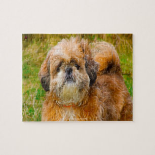 Onze Shih Tzu onze huisdier Legpuzzel