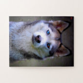 Onze Siberische echtgenoot Onze familie Pet Legpuzzel (Horizontaal)