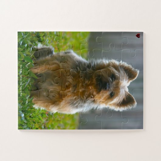 Onze slanke Terrier Ons Gezinnetje Legpuzzel (Horizontaal)