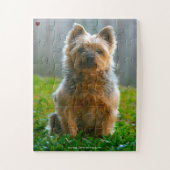 Onze slanke Terrier Ons Gezinnetje Legpuzzel (Verticaal)
