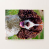 Onze Springer Dog ons familiehuisje Legpuzzel (Horizontaal)