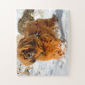 Onze Tibetaanse Terrier Our Family Pet Legpuzzel (Verticaal)