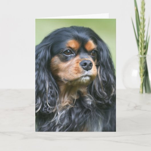 Onze Vriendschap Koesteren Cavalier King Charles Kaart (Voorkant)