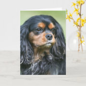 Onze Vriendschap Koesteren Cavalier King Charles Kaart (Gele Bloem)