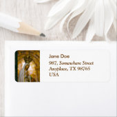 Onze Vrouwe Fatima Etiket (Insitu)