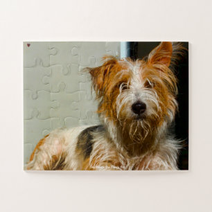 Onze Westie Ons Huisdier Legpuzzel