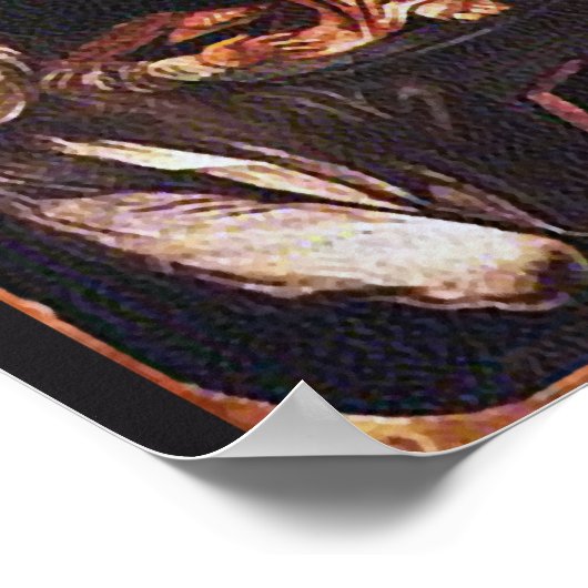 ONZE WET VAN POMPEII POSTER (Hoek)