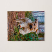 Onze Wheaten Terrier Ons Huisdier Legpuzzel (Horizontaal)
