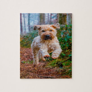 Onze Wheaten Terrier Ons Huisdier Legpuzzel