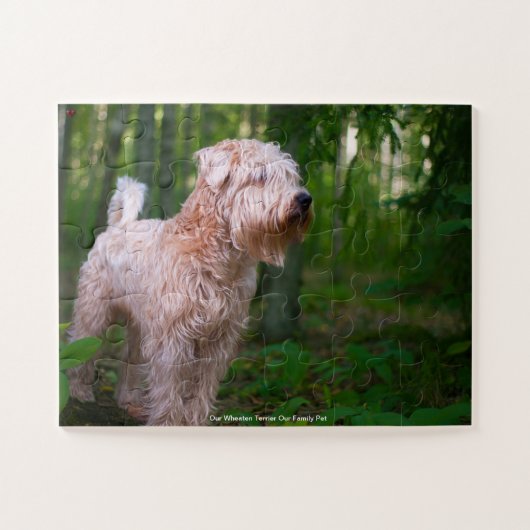 Onze Wheaten Terrier Ons Huisdier Legpuzzel (Horizontaal)