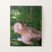 Onze Wheaten Terrier Ons Huisdier Legpuzzel (Verticaal)