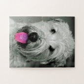 Onze wielrenner, onze familie huiset legpuzzel (Horizontaal)