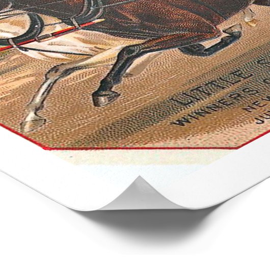 Onze  winnaar Race Horse Poster (Hoek)