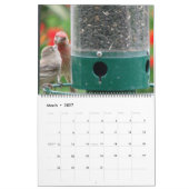 Onze yard kalender (Mar 2027)