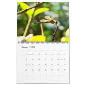 Onze yard kalender (Feb 2026)