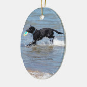 Onze zwarte labrador die Frisbee uit het meer teru Keramisch Ornament (Links)