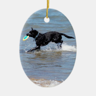 Onze zwarte labrador die Frisbee uit het meer teru Keramisch Ornament