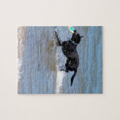 Onze zwarte labrador die Frisbee uit het meer teru Legpuzzel (Horizontaal)