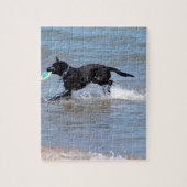 Onze zwarte labrador die Frisbee uit het meer teru Legpuzzel (Verticaal)