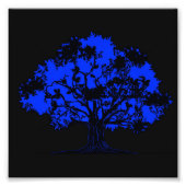 Onzichtbare eikel foto afdruk (Voorkant)