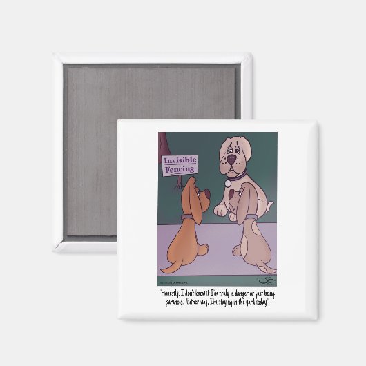 Onzichtbare magneet (Voorkant / Achterkant)