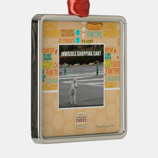 ONZICHTBARE SCHOPPARATUUR METALEN ORNAMENT (Rechts)