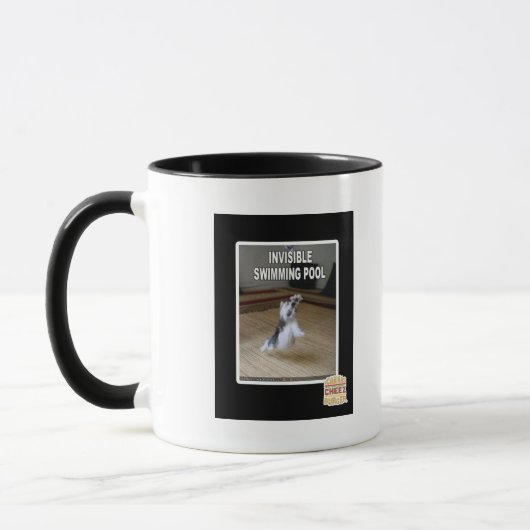 Onzichtbare zwembad mok (Links)