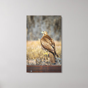 oog 2 canvas afdruk