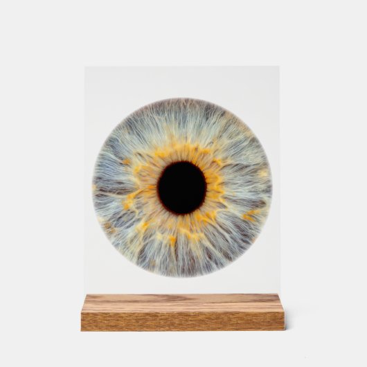 Oog Acrylaat Bord (Voorkant)