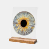 Oog Acrylaat Bord (Hoek)