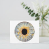 Oog Ansichtkaart Briefkaart (Staand voorkant)