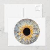 Oog Ansichtkaart Briefkaart (Voorkant / Achterkant)