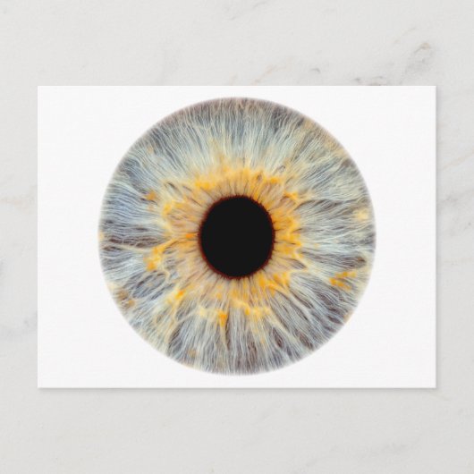 Oog Ansichtkaart Briefkaart (Voorkant)
