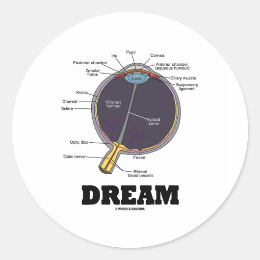 Oog (I) Dream (anatomisch menselijk oogbal) Ronde Sticker (Voorkant)