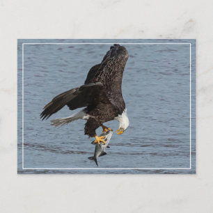 oog om te oogsten briefkaart