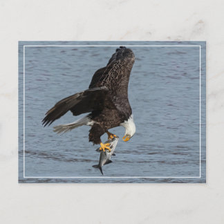 oog om te oogsten briefkaart