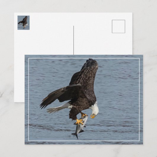 oog om te oogsten briefkaart (Voorkant / Achterkant)