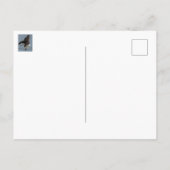 oog om te oogsten briefkaart (Achterkant)