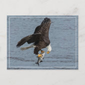 oog om te oogsten briefkaart (Voorkant)