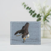 oog om te oogsten briefkaart (Staand voorkant)