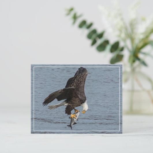 oog om te oogsten briefkaart (Staand voorkant)