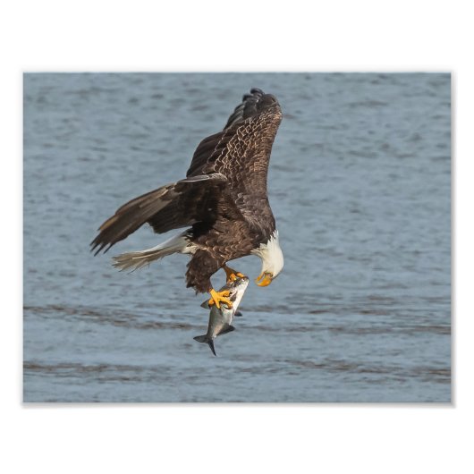 oog om te oogsten foto afdruk (Voorkant)