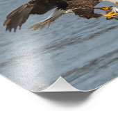 oog om te oogsten foto afdruk (Hoek)