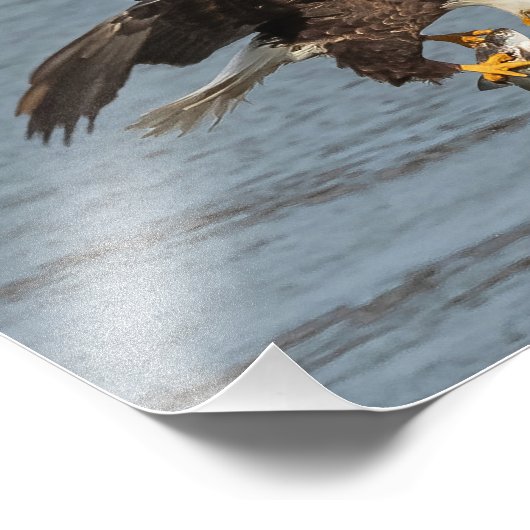 oog om te oogsten foto afdruk (Hoek)