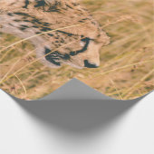 OOG OP DE DOELLEOPARD DIERENFOTO CADEAUPAPIER (Hoek)