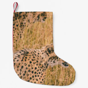 OOG OP DE DOELLEOPARD DIERENFOTO KLEINE KERSTSOK