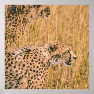 OOG OP DE DOELLEOPARD DIERENFOTO POSTER