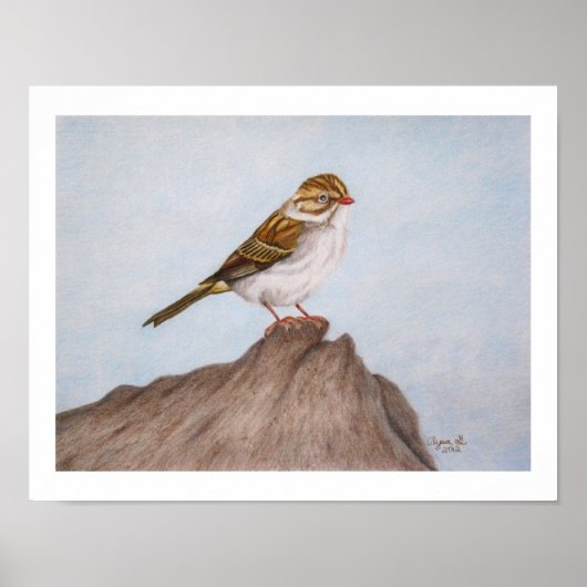 Oog op de Mus 11"x14" Print (Voorkant)